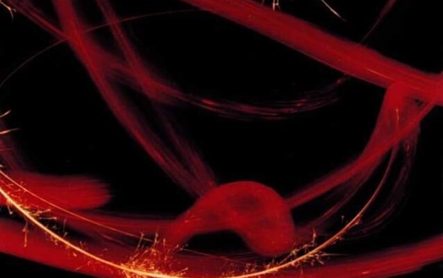 Bitmap (2) Bitmap (2)